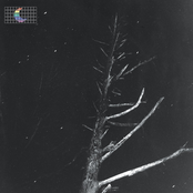 (Colours of the Night) Satellite
