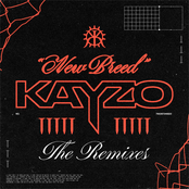 NEW BREED (REMIXES)