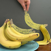 Banana peel