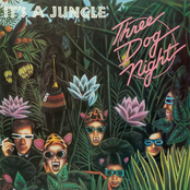 It's A Jungle