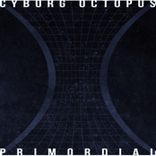 Primordial
