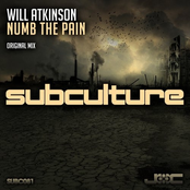 Numb the Pain