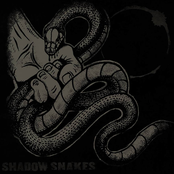 Shadow Snakes