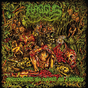 3 Cadavers, 2 Corpses and a Carcass