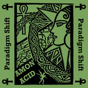 Paradigm Shift