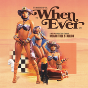 Whenever cover