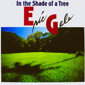 In The Shade Of A Tree