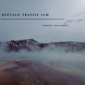 Buffalo Traffic Jam – Forgot Your Roots