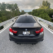 M4ko Shark