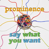 Say What You Want
