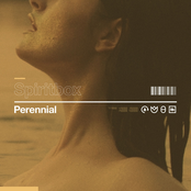 Perennial cover