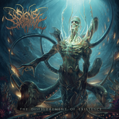 Signs Of The Swarm – The Disfigurement of Existence