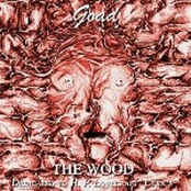 The Wood