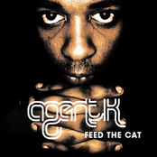 Feed The Cat