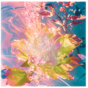 mother :;~ rebirth cover