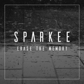 Erase the Memory