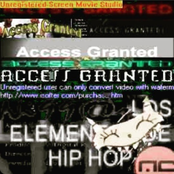 AccessGranted