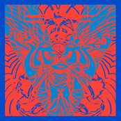 Live @ Chicago Psych Fest