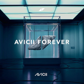 Avicii Forever