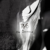 the Senses