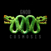 Cosmosis