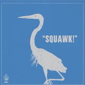 SQUAWK!