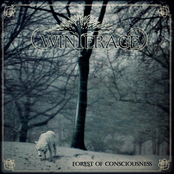 Forest of Consciousness