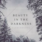 Beauty In The Darkness (Instrumental Album)