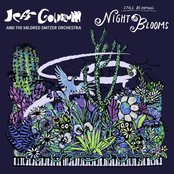 Jeff Goldblum & the Mildred Snitzer Orchestra - I Don't Know Why (I Just Do) - Late Night Session