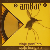 Viaje perfecto
