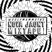 Woolymammoth's 