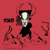 Toro