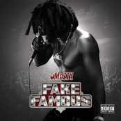 Fake Famous