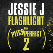 Flashlight cover