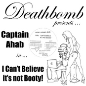 I Can't Believe It's Not Booty
