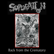Back from the crematory