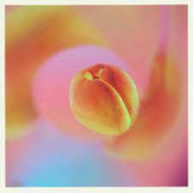 Kytes – Apricosa