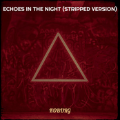 Echoes in the Night (Stripped Version)