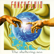 The Sheltering Sea