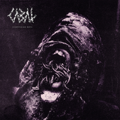 Cabal – Everything Rots