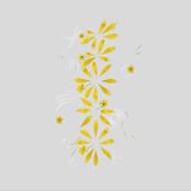 iii-