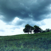 mirror fields