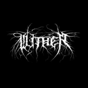 Wither