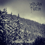 A Winter Tomb