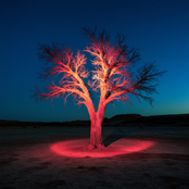 Fire Tree