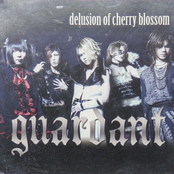 delusion of cherry blossom