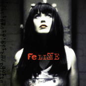 Feline cover