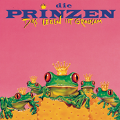 Die Prinzen – Das Leben ist grausam