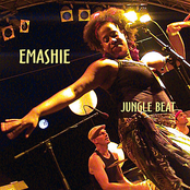 Jungle Beat