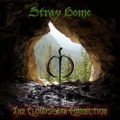 Stray Home